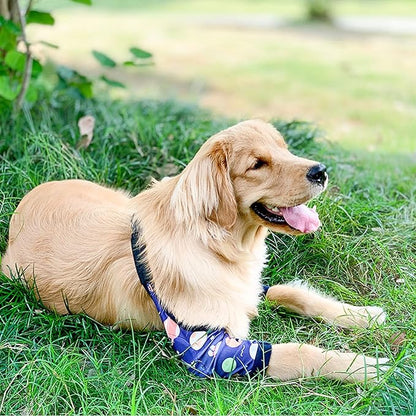 HDKUW Dog Elbow Protector, Dog Front Leg Recovery Sleeve for Prevent Licking Wound, Elbow Sleeves with Mesh Pad for Medium Large Dogs Universe 2XL