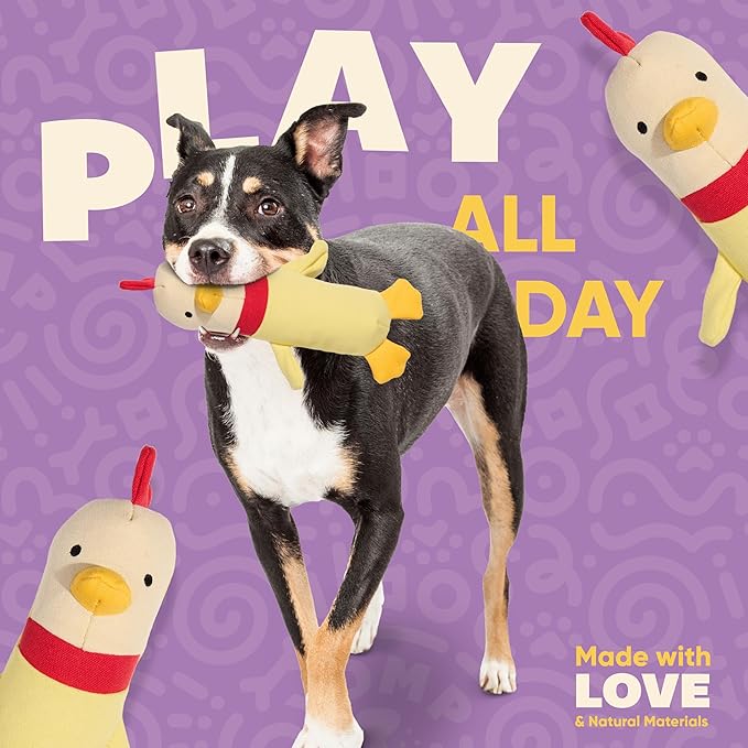 Yomp Chicken Dog Toy – Durable Stuffed, No Squeaker Dog Toys with Natural Canvas and Crinkle Paper – Interactive Stuffed Animal for Dogs (Clucky)