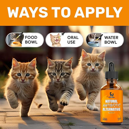 Cat Antibiotic to Help with Cough & Allergies – Antibiotics for Cats to Aid with UTIs and Digestive Moments – Hips & Joints Support – Attractive Chicken Taste – 2 Oz Bottle