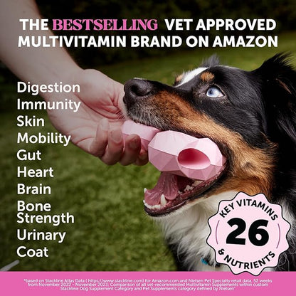 10-in-1 Dog Multivitamin Supplement with Glucosamine & Probiotics - Hip & Joint Support, Digestive Health, Immune Support, Heart & Skin - All-in-One Daily Vitamins & Omega-3s for Dogs (Chicken 180 Ct)