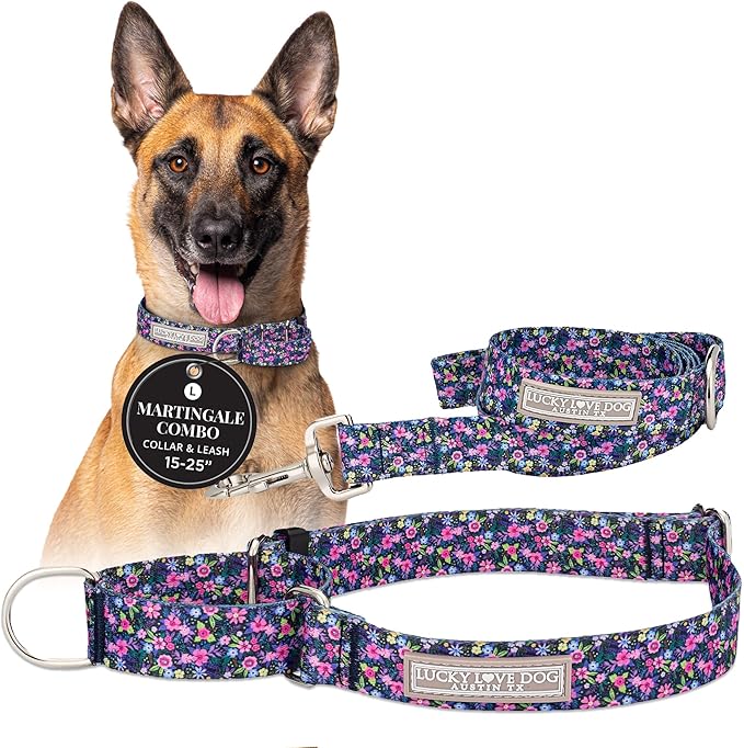 Lucky Love Dog Martingale Dog Collar & Leash - Adjustable, No-Slip, Durable, Comfortable, Soft Webbing, & Stylish Patterned Collar & Leash Set for Male and Female Dogs - Primrose Combo, Large