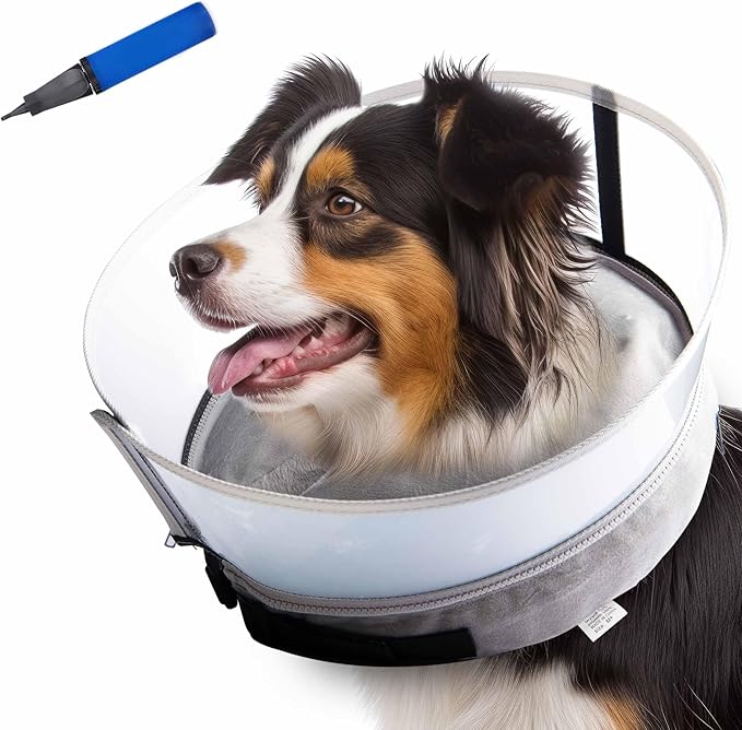 Dog Inflatable Neck Collar - Inflatable E Collar for Dogs - Comfortable Elizabethan Cone with Detachable Anti-Licking Shield - Dog Donut Cone - Doughnut for Dogs After Surgery (Grey, M+)