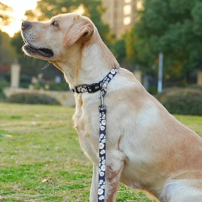 Dog Collar and Leash Set, Cute Daisy Pattern, Polyester Material, 5ft Leash, for Medium Dogs.(Medium,Black Daisy)