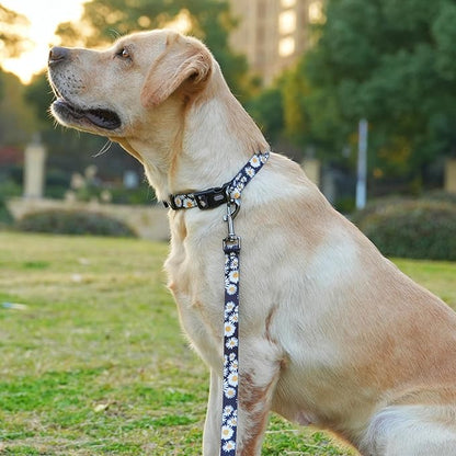 Dog Collar and Leash Set, Cute Daisy Pattern, Polyester Material, 5ft Leash, for Medium Dogs.(Medium,Black Daisy)