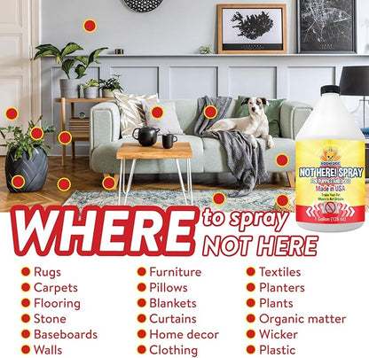 Bodhi Dog Not Here! Spray - Trains Your Pet Where Not to Pee Indoors or Outdoors - Anti Marking Deterrent for Furniture, Carpet & Floor - Training Corrector for Puppy & Dogs - Made in USA (128 Fl Oz)