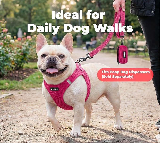 Best Pet Supplies Voyager Reflective Dog Leash or Collar with Neoprene Handle, for Small, Medium, and Large Breed Puppies, Cute and Heavy Duty for Walking, Running and Training - Fuchsia (Leash), L