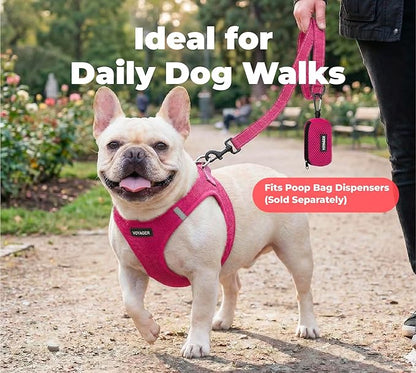Best Pet Supplies Voyager Reflective Dog Leash or Collar with Neoprene Handle, for Small, Medium, and Large Breed Puppies, Cute and Heavy Duty for Walking, Running and Training - Fuchsia (Leash), S