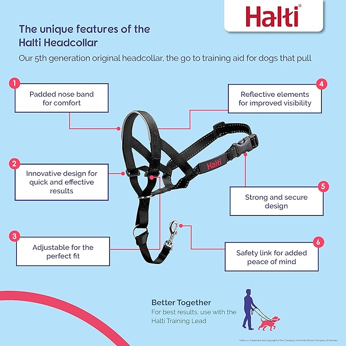 Halti Headcollar - Stop Your Dog Pulling on The Leash. Adjustable, Reflective and Lightweight, with Padded Nose Band. Dog Training Anti-Pull Collar for Large Dogs (Size 4, Forest Green)