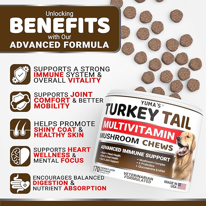 (2-Pack) Turkey Tail Mushroom for Dogs - 340 Count - Mushroom Chews for Dogs Lipoma Lumps and Bumps - Immune Health, Digestive, Skin, Joint Vitamin Support Guard Buddy - Multivitamin Supplement