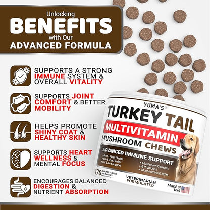 (2-Pack) Turkey Tail Mushroom for Dogs - 340 Count - Mushroom Chews for Dogs Lipoma Lumps and Bumps - Immune Health, Digestive, Skin, Joint Vitamin Support Guard Buddy - Multivitamin Supplement