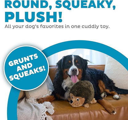 Outward Hound Hedgehogz Stuffed Dog Toy – Soft Plush Hedgehog, Grunts & Squeaks, XL, 12" x 8.5" x 9"