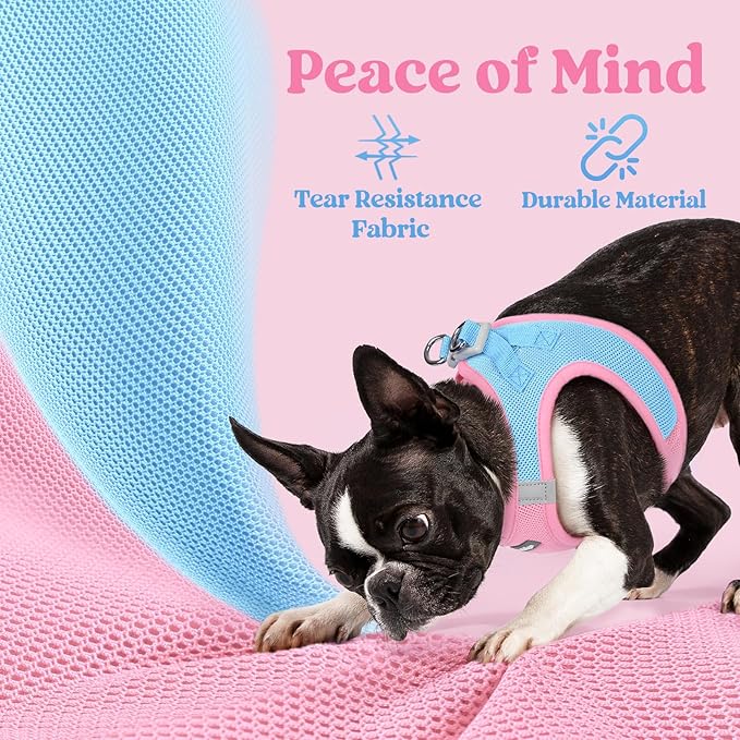 rabbitgoo Small Dog Harness, Step-in Soft Mesh Puppy Vest with Safety Buckle, Breathable Reflective Pet Harness for Large Dogs, Blue & Light Pink XXL
