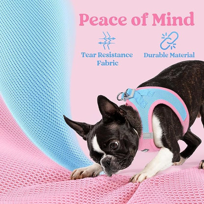 rabbitgoo Small Dog Harness, Step-in Soft Mesh Puppy Vest with Safety Buckle, Breathable Reflective Pet Harness for Extra Small Dogs, Blue & Light Pink XXXS