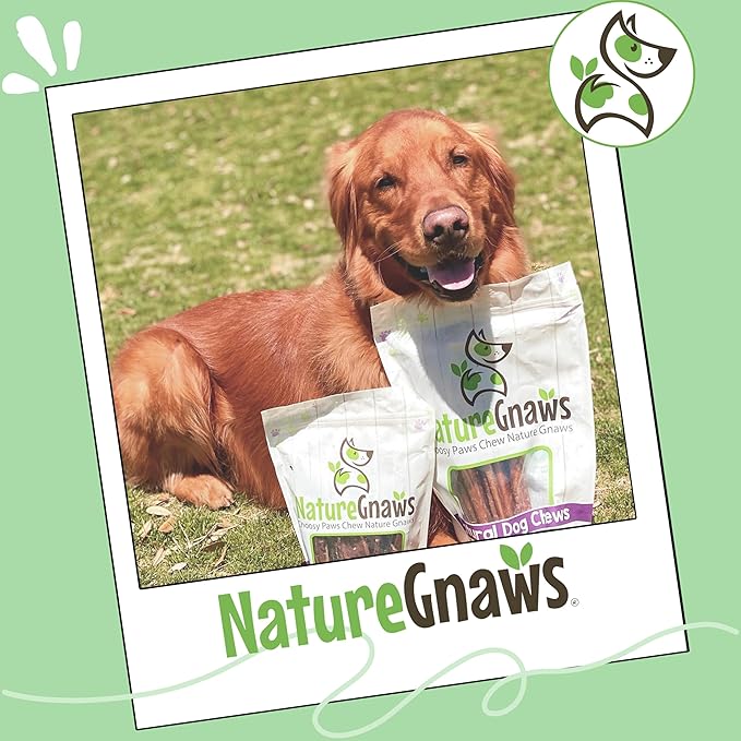 Nature Gnaws Large Bully Sticks for Dogs 11-12" (5 Count) - Thick Long Lasting for Aggressive Chewers and Large Dogs - Natural Beef Dog Chew Bones