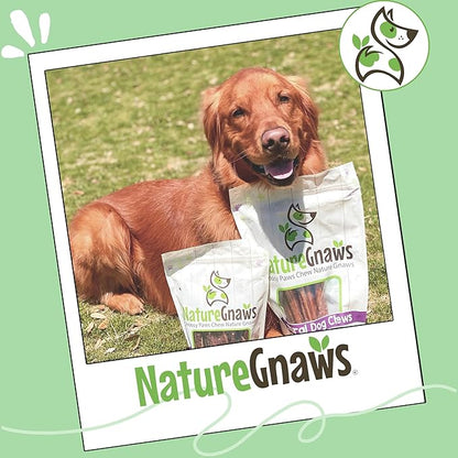 Nature Gnaws Large Bully Sticks for Dogs 11-12" (5 Count) - Thick Long Lasting for Aggressive Chewers and Large Dogs - Natural Beef Dog Chew Bones