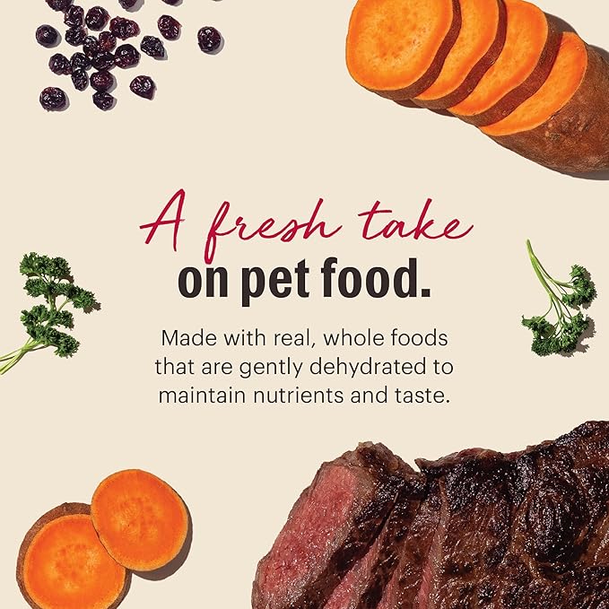 The Honest Kitchen Human Grade Wholemade™ Dehydrated Grain Free Beef Dog Food - Complete & Balanced Meal or Topper 7 lb Box