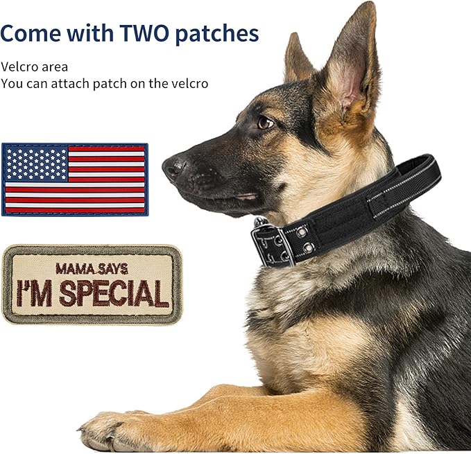 Annchwool Tactical Dog Collar for Medium and Large Dog,Adjustable Military Dog Collar with Soft Padded Handle,Heavy Duty Double Buckle Design(Black,M)