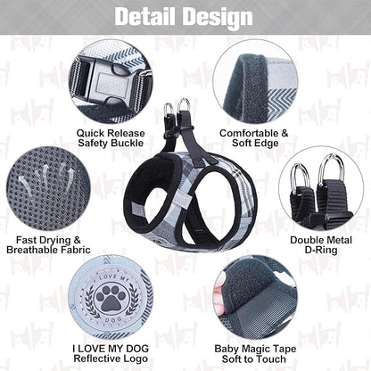 BEAUTYZOO Small Dog Harness and Leash Set,Step in No Choke No Pull Soft Mesh Dog Harnesses Reflective for Extra-Small Medium Puppy Dogs and Cats, Plaid Dog Vest Harness for XS S Pets, Grey XXS