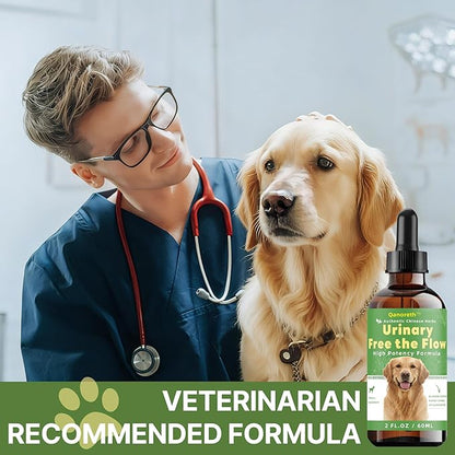 Bladder & Kidney Stones Dissolver for Dogs – Natural Dog UTI Treatment & Urinary Tract for Dogs, Stone and Crystals Fragment Flush & Prevention, Vet-Formulated Dog Urinary Tract Infection Support