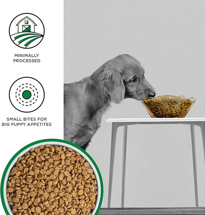 BIXBI Liberty Grain-Free Dry Dog Food, Original Recipe Puppy – Fresh Meat, High Protein, No Meat Meals – USA Made, 4 lbs