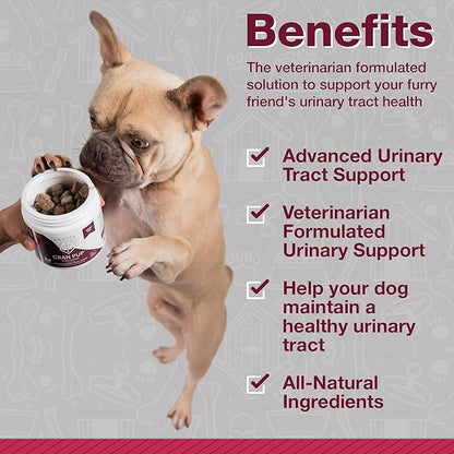 Cranberry Supplements for Dogs| Urinary Tract & Bladder Support| D Mannose & Antioxidants for Support| 240 Veterinarian Formulated Soft Chews| Up to 4-Month Supply