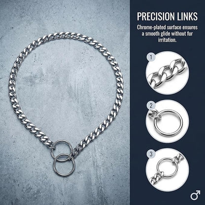 Dog Chain Collars Slip P Chain Metal Link Dog Collar Training Heavy Duty Martingale Puppy Collar for XS Small Medium Large Big XL Breed Dogs (Silver, XS)