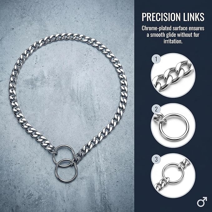 Dog Choke Collar Dogs Chain Choker Link Training Collar Pet Metal Slip Puppy Heavy Duty Martingale Collars for XS Small Medium Large Big XL Breed Dogs (Silver, L)