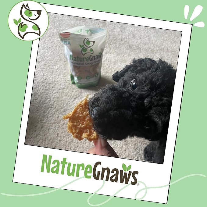 Nature Gnaws USA Turkey Tenders (1Lb) - Delicious Grain-Free Dog Treats for Small, Medium & Large Breeds - Natural Jerky Chews for Dogs.