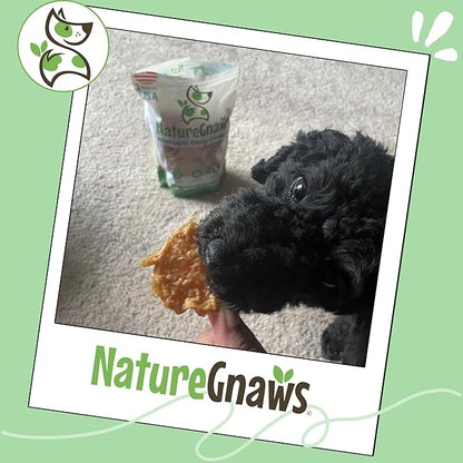 Nature Gnaws USA Turkey Tenders (1Lb) - Delicious Grain-Free Dog Treats for Small, Medium & Large Breeds - Natural Jerky Chews for Dogs.