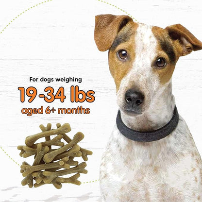 Fido - Super Breath Dental Care Bones for Dogs - 13 Treats Per Pack (3 Pack) - for Small Dogs (Made in USA) - Dog Dental Chews Help Reduce Plaque, Tartar Buildup, and Freshens Breath