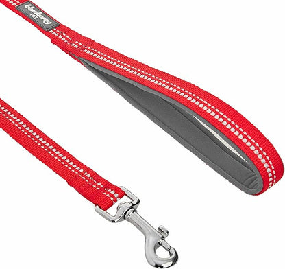 Blueberry Pet 3M Reflective Pastel Color Dog Leash with Soft & Comfortable Handle, 5 ft x 3/4", Red, Medium, Leashes for Dogs