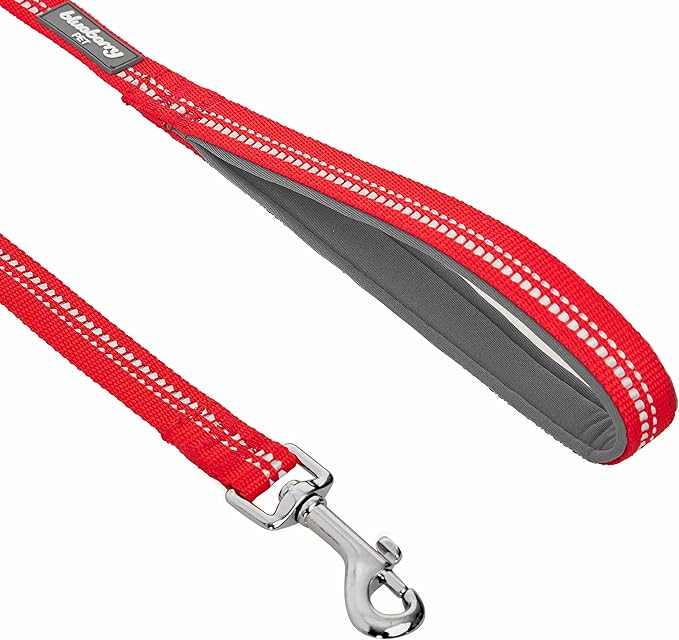 Blueberry Pet 3M Reflective Pastel Color Dog Leash with Soft & Comfortable Handle, 5 ft x 5/8", Red, Small, Leashes for Dogs