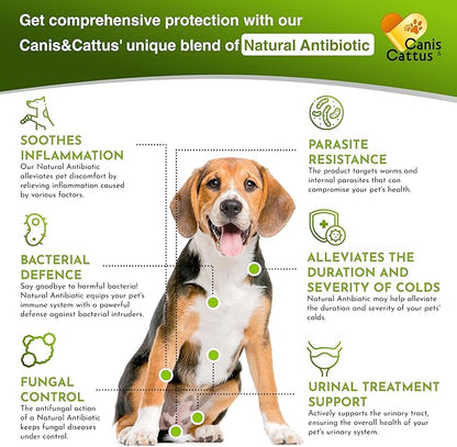 Liquid Cat & Dog Vitamins – Dog Antibiotics for All Pets – Bundle of 10 in 1 Cat & Dog Multivitamin + Antibiotic Supplement – Cough, Allergy, Sneezing, Joint Care – Vitamin C, D, B – Bottle Set x 2 oz