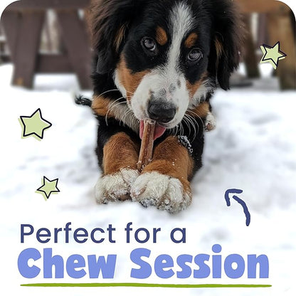 Pawstruck Natural 7” Braided Bully Sticks for Dogs, Tough Long-Lasting, Rawhide-Free, Low Odor, Healthy Single Ingredient Chew Treat for Aggressive Chewers, 10 Count, Packaging May Vary