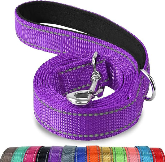 Joytale Dog Leash, 4 FT Double-Sided Reflective, Padded Handle Nylon Heavy Duty Leashes for Small Dogs Walking, Purple