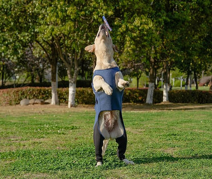 Dog Hind Leg Recovery Sleeve Dog Recovery Suit Breathable Sleeve to Stop Licking and Biting Firm and Secure, Adjustable Size, Comfortable Alternative to Cone Collars (Rear Both Leg，Small)