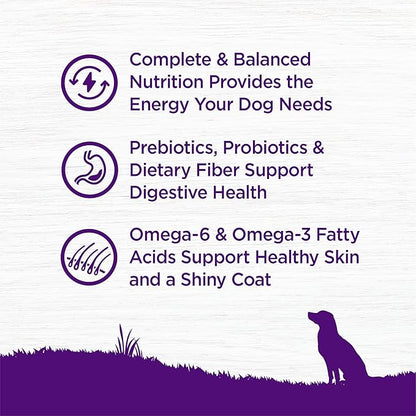 Wellness Complete Health Adult Dry Dog Food, Wholesome Grain Kibble, Natural, Beef and Barley Recipe, 26 lb Bag