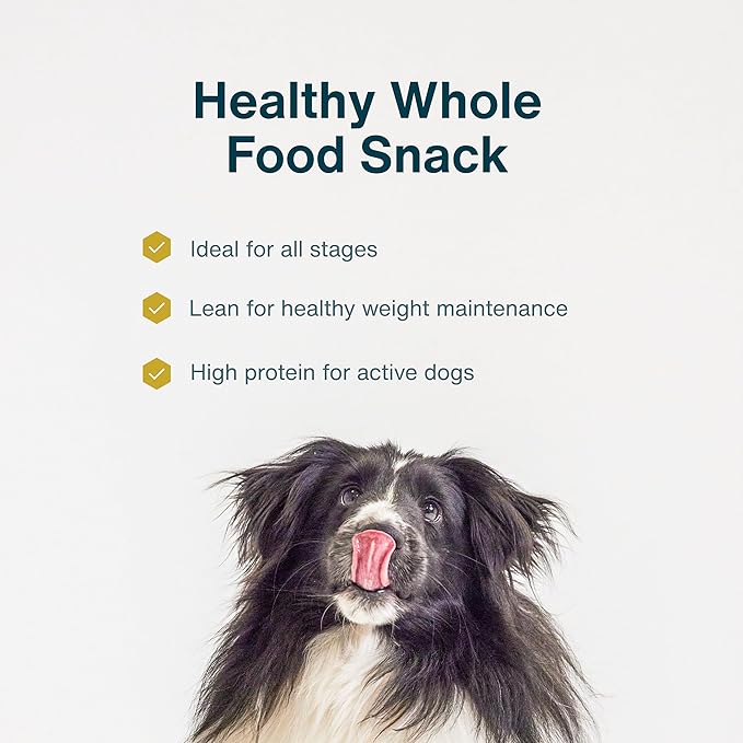 JustFoodForDogs Limited Ingredient Healthy Dog Treats and Dog Snacks, Jerky Treats, Human Grade, Preservative Free, Rawhide Free Chews, Low Calorie Treat - Chicken Apple Bark, 5 oz
