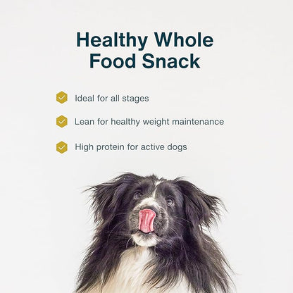 JustFoodForDogs Limited Ingredient Healthy Dog Treats and Dog Snacks, Jerky Treats, Human Grade, Preservative Free, Rawhide Free Chews, Low Calorie Treat - Chicken Apple Bark, 5 oz