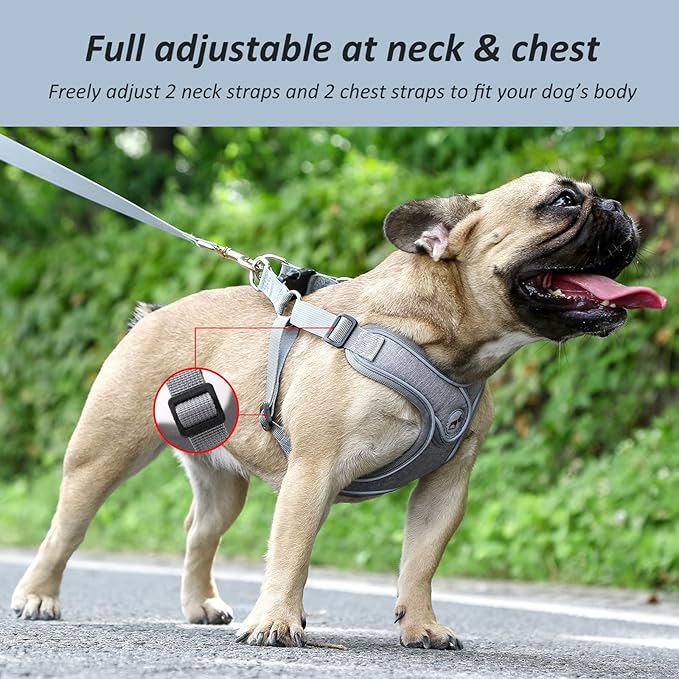 Dog Frenchie Harness with Leash Set, No Pull Adjustable Step in with Breathable Padded Vest Harness for Small Medium Large Dogs Walking and Running(M, Gray)