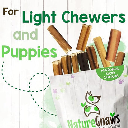 Nature Gnaws Bully Stick Bites for Small Dogs 2-4" (8oz) - Long Lasting for Light Chewers and Puppies - Natural Beef Dog Chew Treats - Rawhide Free