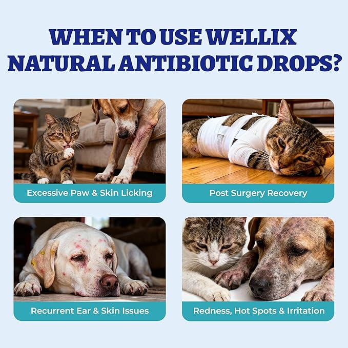 Wellix 120ml Natural Antibiotics for Cats&Dogs - Natural Herbal Supplement for Wound Care, UTI, Sneezing Treatment & Cold Relief - Cat Antibiotics Chicken Flavor for All Ages & Breeds