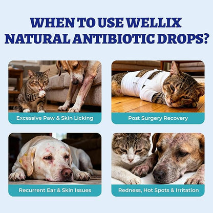 Wellix 120ml Natural Antibiotics for Cats&Dogs - Natural Herbal Supplement for Wound Care, UTI, Sneezing Treatment & Cold Relief - Cat Antibiotics Chicken Flavor for All Ages & Breeds