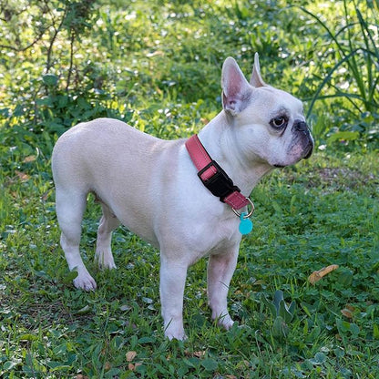 Ladoogo Reflective Dog Collar Padded with Soft Neoprene Breathable Adjustable Nylon Dog Collars for Small Medium Large Dogs (Small (Pack of 1), Pink Collar+Leash)
