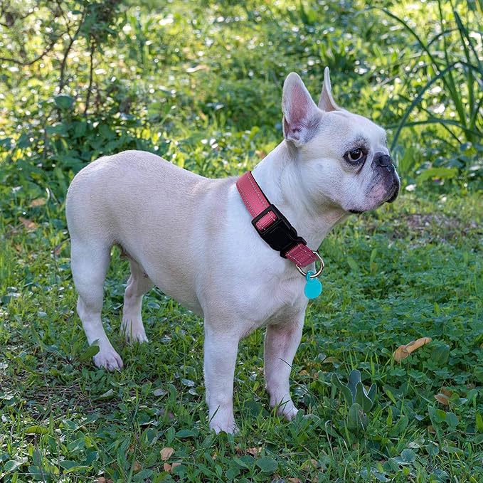 Ladoogo Reflective Dog Collar Padded with Soft Neoprene Breathable Adjustable Nylon Dog Collars for Small Medium Large Dogs (Medium (Pack of 1), Pink Collar+Leash)