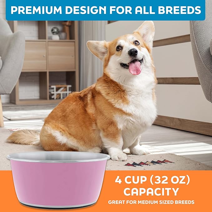 Master Pet Supply Stainless Steel Dog Bowls Set of 2 (32 Oz Each) with Non-Slip Rubber Base - Hyper Pink - Basic Dog Food Bowl Water & Food Bowls for Small Medium Large Dogs & Cats, Metal Dish