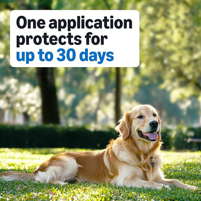Amazon Basics Preventative Flea and Tick Topical Treatment for Dogs, Medium Dog (23-44 lbs), Fast Acting and Long Lasting, 6 Counts, Packaging May Vary