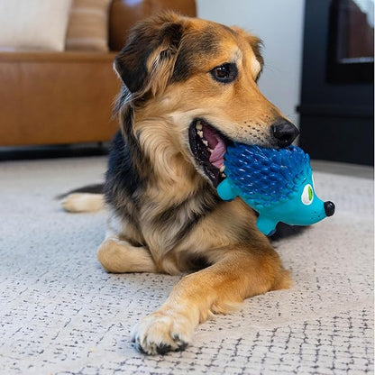 Outward Hound Tootiez Hedgehog Grunting Latex Rubber Dog Toy, Large