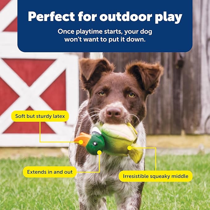 PetSafe Busy Buddy Latex Squeeze Meeze Raccoon, Fun Squeeze Dog Toy with Squeaker - Duck