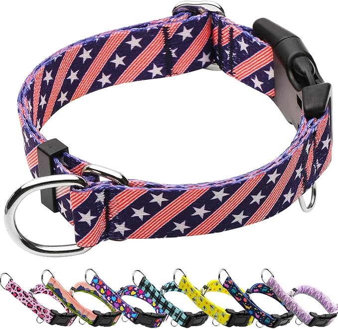 American Flag Martingale Collar for Dogs with Buckle 4th of July No Pull Adjustable Nylon Limited Slip Training Dog Collars (Navy Blue Flag, Small)